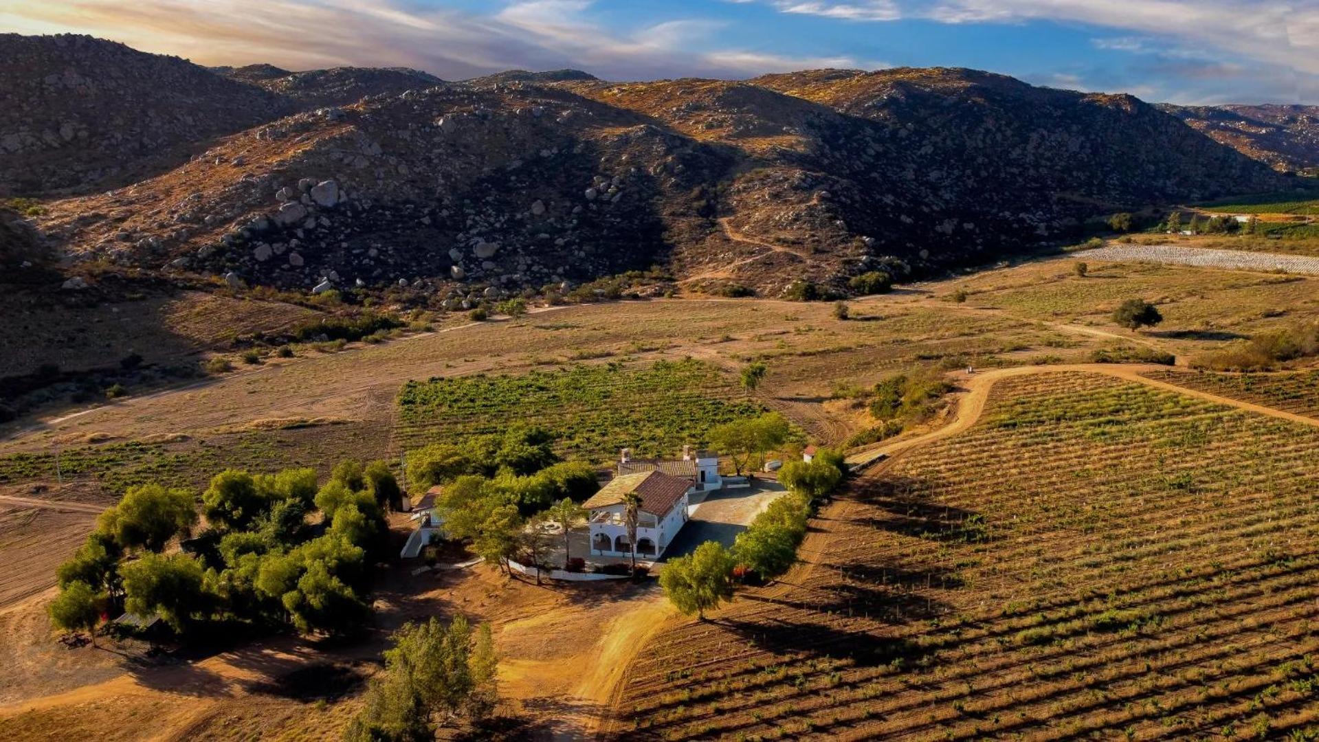 Casa Luna Vinedo Valle de Guadalupe Exterior photo